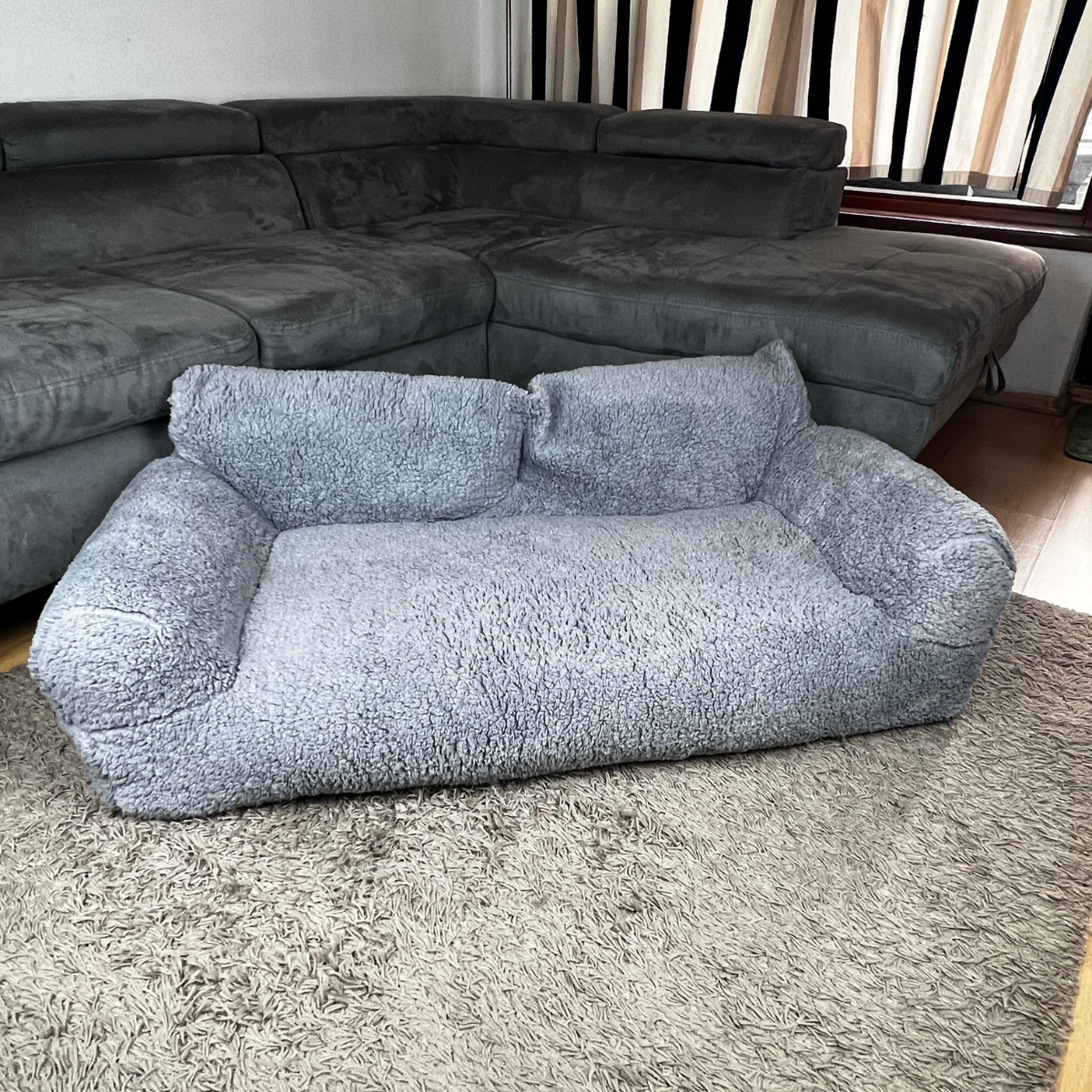 Soothing sofa for pets - Comfort and serenity guaranteed