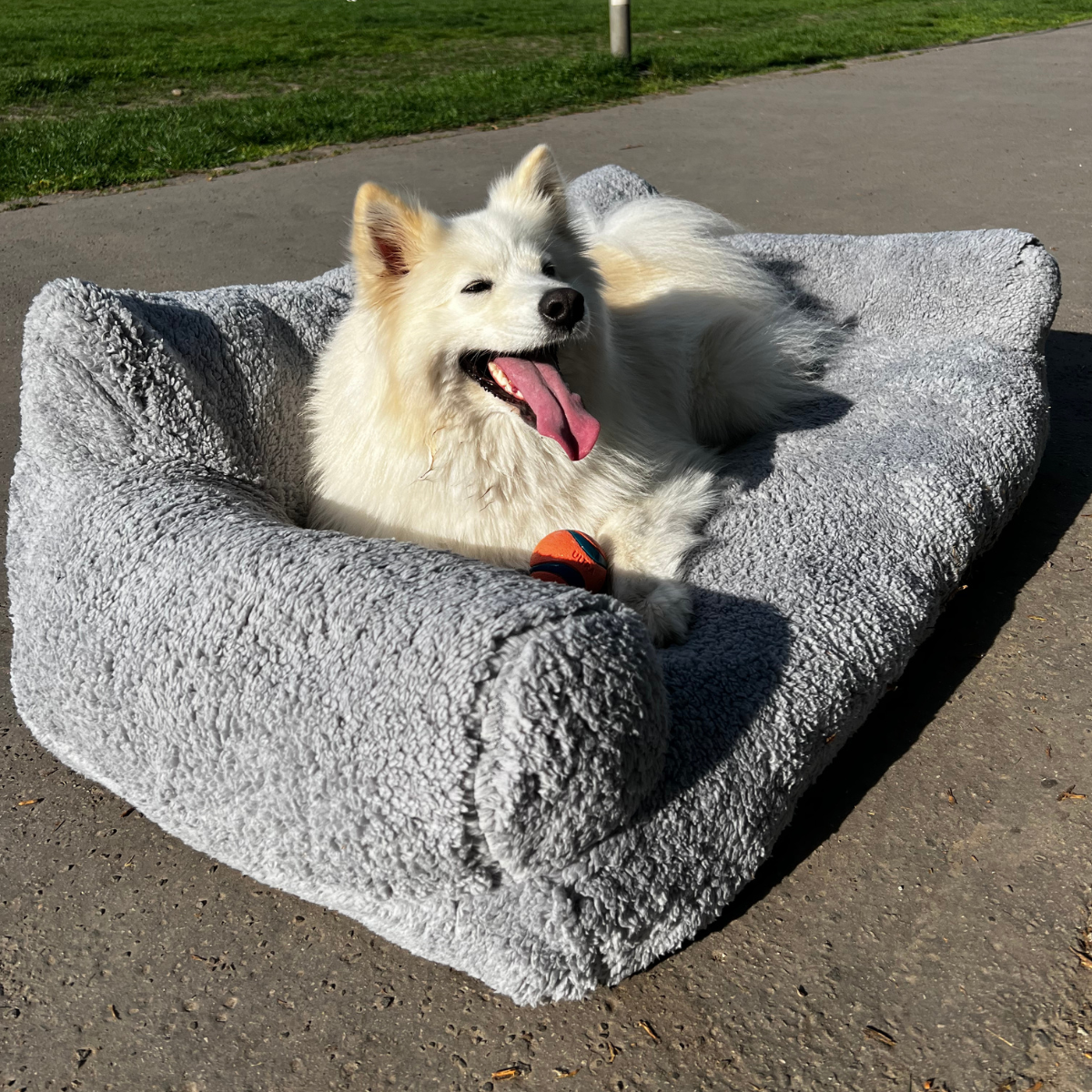 Soothing sofa for pets - Comfort and serenity guaranteed