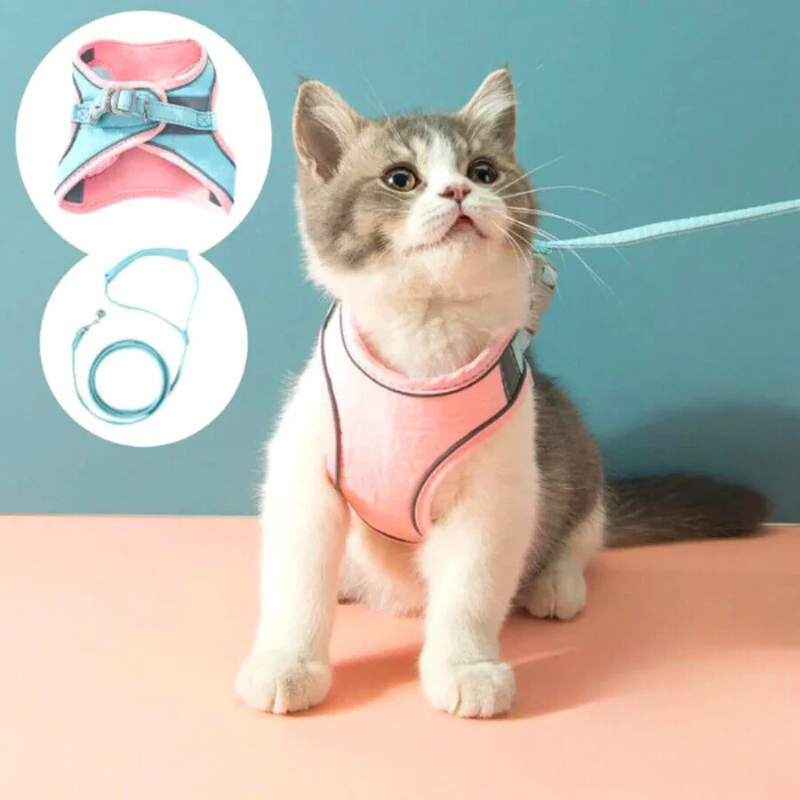 Imbracatura per gatti comoda e sicura - Ideale per le uscite