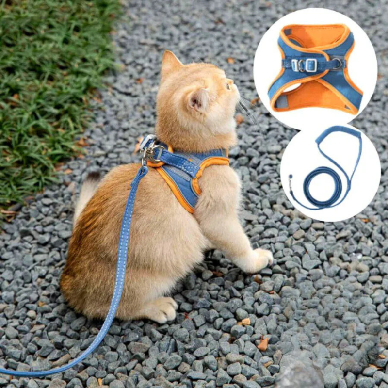 Imbracatura per gatti comoda e sicura - Ideale per le uscite