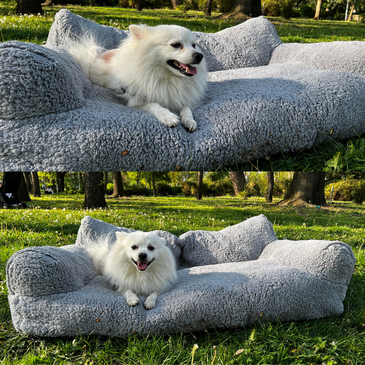 Soothing sofa for pets - Comfort and serenity guaranteed