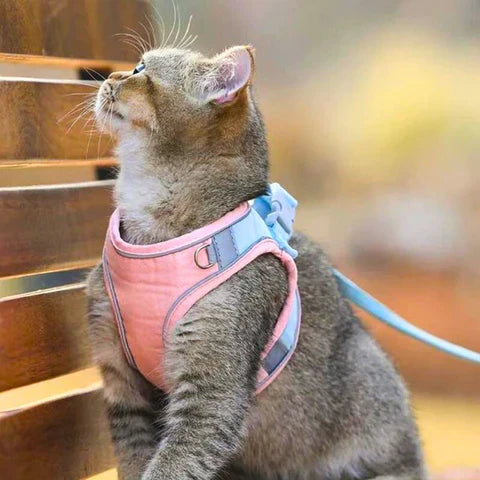 Imbracatura per gatti comoda e sicura - Ideale per le uscite