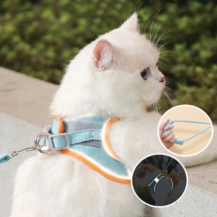 Imbracatura per gatti comoda e sicura - Ideale per le uscite