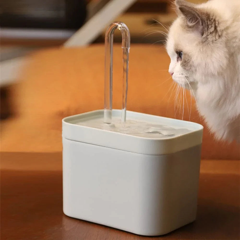 猫のための最適な水分補給のための水飲み場